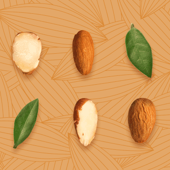 Why Almond?